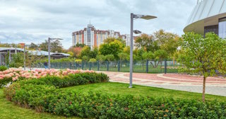 Профессиональное озеленение улиц в Челябинске в октябре