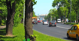 Посадка деревьев и кустарников в Челябинске — стоимость от 1237 руб.
